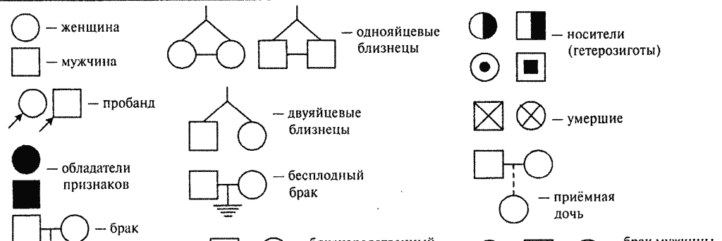 Условные обозначения родословной схемы